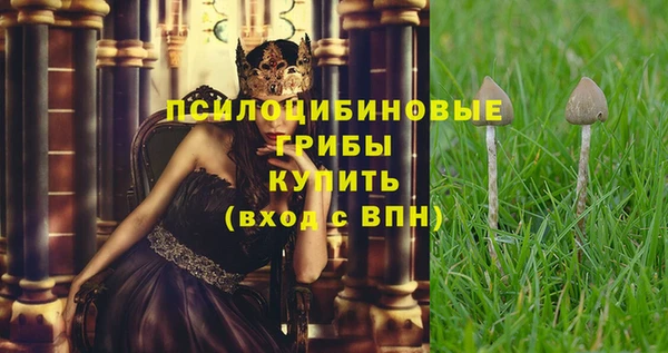 гидра Заволжье
