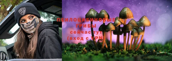 гидра Заволжье