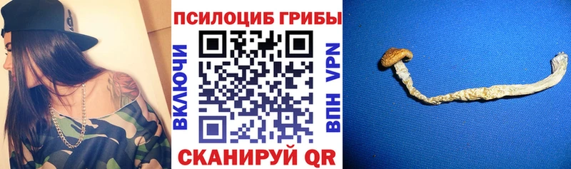 Купить  Калуга  Галлюциногенные грибы прущие грибы 